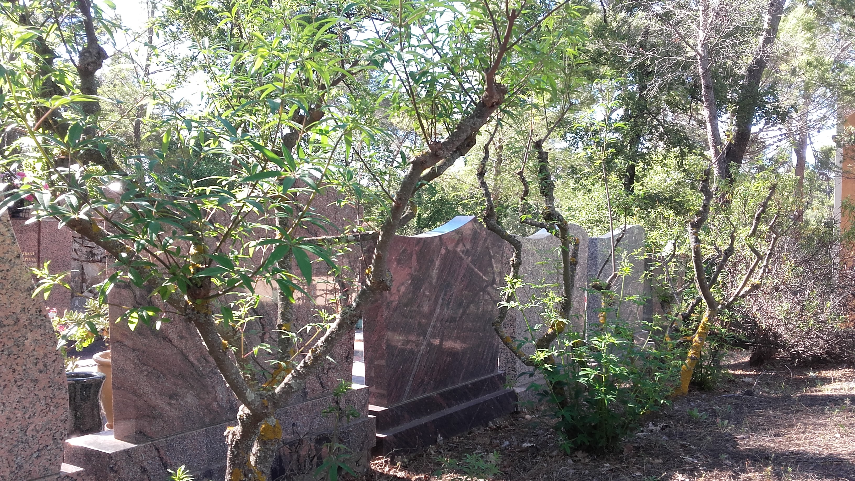 tombes-de-dos-anonymes